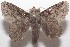  ( - 18-SRNP-102216)  @11 [ ] CreativeCommons  Attribution Non-Commercial Share-Alike (2019) Daniel H. Janzen Guanacaste Dry Forest Conservation Fund
