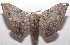  ( - 18-SRNP-102222)  @14 [ ] CreativeCommons  Attribution Non-Commercial Share-Alike (2019) Daniel H. Janzen Guanacaste Dry Forest Conservation Fund