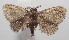  ( - 18-SRNP-102307)  @13 [ ] CreativeCommons  Attribution Non-Commercial Share-Alike (2019) Daniel H. Janzen Guanacaste Dry Forest Conservation Fund