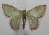  ( - 18-SRNP-102333)  @14 [ ] CreativeCommons  Attribution Non-Commercial Share-Alike (2019) Daniel H. Janzen Guanacaste Dry Forest Conservation Fund