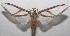  ( - 18-SRNP-102414)  @14 [ ] CreativeCommons  Attribution Non-Commercial Share-Alike (2019) Daniel H. Janzen Guanacaste Dry Forest Conservation Fund