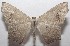  ( - 18-SRNP-102461)  @14 [ ] CreativeCommons  Attribution Non-Commercial Share-Alike (2019) Daniel H. Janzen Guanacaste Dry Forest Conservation Fund