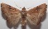  ( - 18-SRNP-102494)  @11 [ ] CreativeCommons  Attribution Non-Commercial Share-Alike (2019) Daniel H. Janzen Guanacaste Dry Forest Conservation Fund