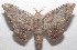  ( - 18-SRNP-102519)  @14 [ ] CreativeCommons  Attribution Non-Commercial Share-Alike (2019) Daniel H. Janzen Guanacaste Dry Forest Conservation Fund