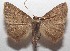  ( - 18-SRNP-102696)  @14 [ ] CreativeCommons  Attribution Non-Commercial Share-Alike (2019) Daniel H. Janzen Guanacaste Dry Forest Conservation Fund