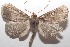  ( - 18-SRNP-102722)  @11 [ ] CreativeCommons  Attribution Non-Commercial Share-Alike (2019) Daniel H. Janzen Guanacaste Dry Forest Conservation Fund