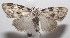  ( - 18-SRNP-102832)  @14 [ ] CreativeCommons  Attribution Non-Commercial Share-Alike (2019) Daniel H. Janzen Guanacaste Dry Forest Conservation Fund