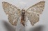  ( - 18-SRNP-102891)  @11 [ ] CreativeCommons  Attribution Non-Commercial Share-Alike (2019) Daniel H. Janzen Guanacaste Dry Forest Conservation Fund