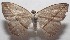  ( - 18-SRNP-102928)  @11 [ ] CreativeCommons  Attribution Non-Commercial Share-Alike (2019) Daniel H. Janzen Guanacaste Dry Forest Conservation Fund