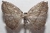  ( - 18-SRNP-102929)  @11 [ ] CreativeCommons  Attribution Non-Commercial Share-Alike (2019) Daniel H. Janzen Guanacaste Dry Forest Conservation Fund