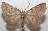  ( - 18-SRNP-102948)  @11 [ ] CreativeCommons  Attribution Non-Commercial Share-Alike (2019) Daniel H. Janzen Guanacaste Dry Forest Conservation Fund