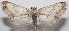  ( - 18-SRNP-103173)  @11 [ ] CreativeCommons  Attribution Non-Commercial Share-Alike (2019) Daniel H. Janzen Guanacaste Dry Forest Conservation Fund