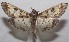  ( - 18-SRNP-103199)  @11 [ ] CreativeCommons  Attribution Non-Commercial Share-Alike (2019) Daniel H. Janzen Guanacaste Dry Forest Conservation Fund