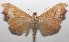  ( - 18-SRNP-103213)  @13 [ ] CreativeCommons  Attribution Non-Commercial Share-Alike (2019) Daniel H. Janzen Guanacaste Dry Forest Conservation Fund
