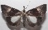  ( - 18-SRNP-103336)  @14 [ ] CreativeCommons  Attribution Non-Commercial Share-Alike (2019) Daniel H. Janzen Guanacaste Dry Forest Conservation Fund