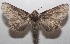  ( - 18-SRNP-103364)  @13 [ ] CreativeCommons  Attribution Non-Commercial Share-Alike (2019) Daniel H. Janzen Guanacaste Dry Forest Conservation Fund