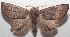  ( - 18-SRNP-103409)  @14 [ ] CreativeCommons  Attribution Non-Commercial Share-Alike (2019) Daniel H. Janzen Guanacaste Dry Forest Conservation Fund