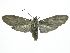  ( - INBIOCRI002133300)  @11 [ ] CreativeCommons  Attribution Non-Commercial Share-Alike (2019) Daniel H. Janzen Guanacaste Dry Forest Conservation Fund