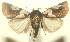  ( - 12-SRNP-101644)  @13 [ ] CreativeCommons - Attribution Non-Commercial Share-Alike (2010) Daniel H. Janzen Guanacaste Dry Forest Conservation Fund