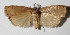  ( - 12-SRNP-194)  @14 [ ] CreativeCommons  Attribution Non-Commercial Share-Alike (2016) Unspecified Guanacaste Dry Forest Conservation Fund