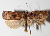  ( - 12-SRNP-44585)  @14 [ ] CreativeCommons  Attribution Non-Commercial Share-Alike (2016) Unspecified Guanacaste Dry Forest Conservation Fund