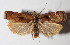  ( - 12-SRNP-4983)  @14 [ ] CreativeCommons  Attribution Non-Commercial Share-Alike (2016) Unspecified Guanacaste Dry Forest Conservation Fund