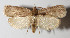  ( - 12-SRNP-55)  @14 [ ] CreativeCommons  Attribution Non-Commercial Share-Alike (2016) Unspecified Guanacaste Dry Forest Conservation Fund