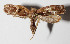  ( - 12-SRNP-85857)  @14 [ ] CreativeCommons  Attribution Non-Commercial Share-Alike (2016) Unspecified Guanacaste Dry Forest Conservation Fund