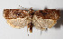  ( - 12-SRNP-86249)  @14 [ ] CreativeCommons  Attribution Non-Commercial Share-Alike (2016) Unspecified Guanacaste Dry Forest Conservation Fund