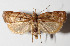  ( - 12-SRNP-86410)  @14 [ ] CreativeCommons  Attribution Non-Commercial Share-Alike (2016) Unspecified Guanacaste Dry Forest Conservation Fund