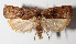  ( - 12-SRNP-86411)  @14 [ ] CreativeCommons  Attribution Non-Commercial Share-Alike (2016) Unspecified Guanacaste Dry Forest Conservation Fund