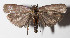  ( - 13-SRNP-42584)  @14 [ ] CreativeCommons  Attribution Non-Commercial Share-Alike (2016) Unspecified Guanacaste Dry Forest Conservation Fund