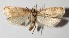  ( - 13-SRNP-42774)  @14 [ ] CreativeCommons  Attribution Non-Commercial Share-Alike (2016) Unspecified Guanacaste Dry Forest Conservation Fund