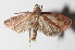  ( - 13-SRNP-44537)  @12 [ ] CreativeCommons  Attribution Non-Commercial Share-Alike (2016) Unspecified Guanacaste Dry Forest Conservation Fund