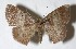  ( - 13-SRNP-45280)  @14 [ ] CreativeCommons  Attribution Non-Commercial Share-Alike (2016) Unspecified Guanacaste Dry Forest Conservation Fund