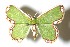  ( - 13-SRNP-6537)  @14 [ ] CreativeCommons  Attribution Non-Commercial Share-Alike (2016) Unspecified Guanacaste Dry Forest Conservation Fund