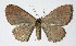 ( - 13-SRNP-65553)  @14 [ ] CreativeCommons  Attribution Non-Commercial Share-Alike (2016) Unspecified Guanacaste Dry Forest Conservation Fund