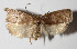  ( - 13-SRNP-7307)  @14 [ ] CreativeCommons  Attribution Non-Commercial Share-Alike (2016) Unspecified Guanacaste Dry Forest Conservation Fund
