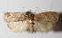  ( - 14-SRNP-1771)  @14 [ ] CreativeCommons  Attribution Non-Commercial Share-Alike (2016) Unspecified Guanacaste Dry Forest Conservation Fund
