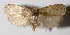  ( - 14-SRNP-2023)  @14 [ ] CreativeCommons  Attribution Non-Commercial Share-Alike (2016) Unspecified Guanacaste Dry Forest Conservation Fund
