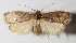  ( - 14-SRNP-2373)  @14 [ ] CreativeCommons  Attribution Non-Commercial Share-Alike (2016) Unspecified Guanacaste Dry Forest Conservation Fund