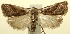  ( - 12-SRNP-103711)  @14 [ ] CreativeCommons - Attribution Non-Commercial Share-Alike (2014) Daniel H. Janzen Guanacaste Dry Forest Conservation Fund