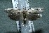  ( - 12-SRNP-44516)  @14 [ ] CreativeCommons  Attribution Non-Commercial Share-Alike (2017) Daniel H. Janzen Guanacaste Dry Forest Conservation Fund