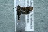  ( - 12-SRNP-4854)  @11 [ ] CreativeCommons  Attribution Non-Commercial Share-Alike (2017) Daniel H. Janzen Guanacaste Dry Forest Conservation Fund