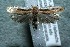  ( - 12-SRNP-5353)  @14 [ ] CreativeCommons  Attribution Non-Commercial Share-Alike (2017) Daniel H. Janzen Guanacaste Dry Forest Conservation Fund