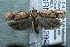  ( - 12-SRNP-85202)  @14 [ ] CreativeCommons  Attribution Non-Commercial Share-Alike (2017) Daniel H. Janzen Guanacaste Dry Forest Conservation Fund