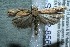  ( - 12-SRNP-85644)  @14 [ ] CreativeCommons  Attribution Non-Commercial Share-Alike (2017) Daniel H. Janzen Guanacaste Dry Forest Conservation Fund