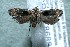  ( - 12-SRNP-86836)  @14 [ ] CreativeCommons  Attribution Non-Commercial Share-Alike (2017) Daniel H. Janzen Guanacaste Dry Forest Conservation Fund