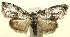 ( - 13-SRNP-100070)  @14 [ ] CreativeCommons - Attribution Non-Commercial Share-Alike (2014) Daniel H. Janzen Guanacaste Dry Forest Conservation Fund