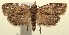  ( - 13-SRNP-100408)  @14 [ ] CreativeCommons  Attribution Non-Commercial Share-Alike (2017) Daniel H. Janzen Guanacaste Dry Forest Conservation Fund